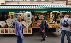 WhatsApp Image 2018-09-15 at 03.07.10