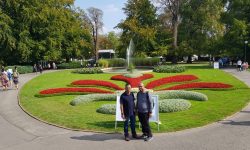 WhatsApp Image 2018-09-15 at 23.21.40(1)